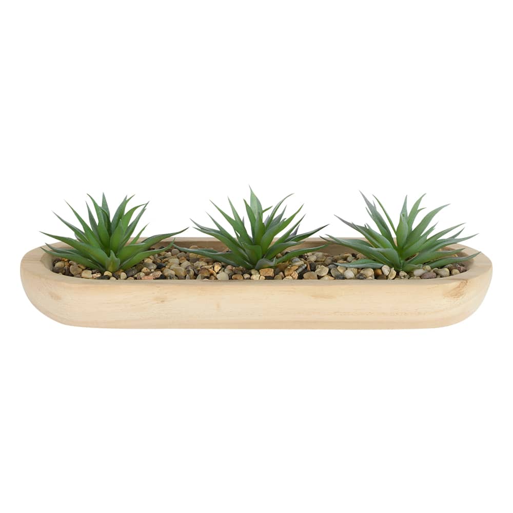 Plantes artificielles succulentes avec plateau en bois naturel VERTUO