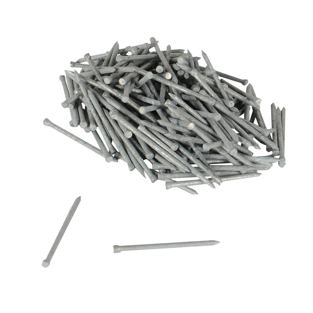 Hot Galvanized Finishing Nails - 2-1/2 in. Format: Mini