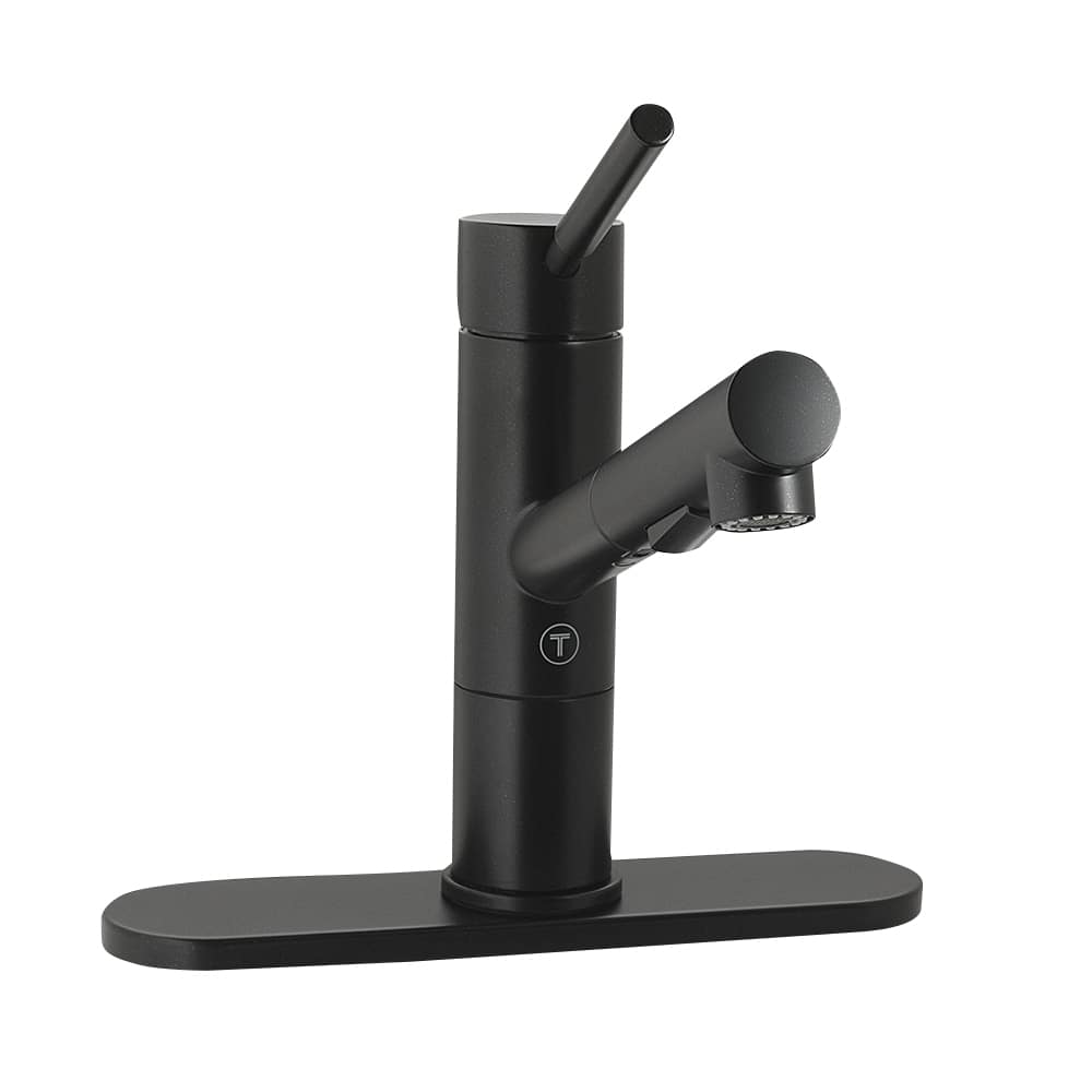 TASSILI SUPRA Carlos 1-Handle Pull-Out Kitchen Faucet Black