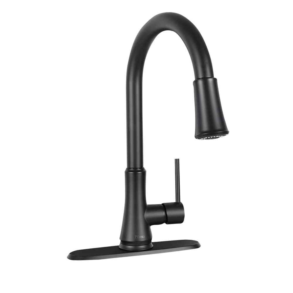 Classic Pull-Out Kitchen Faucet