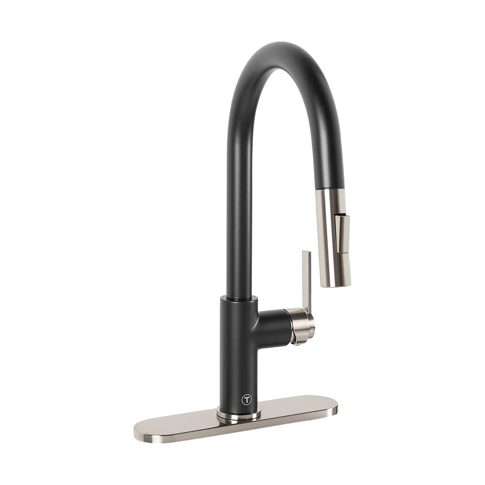 TASSILI Niccolo 1-Handle Pull-Out Kitchen Faucet Black and Nickel