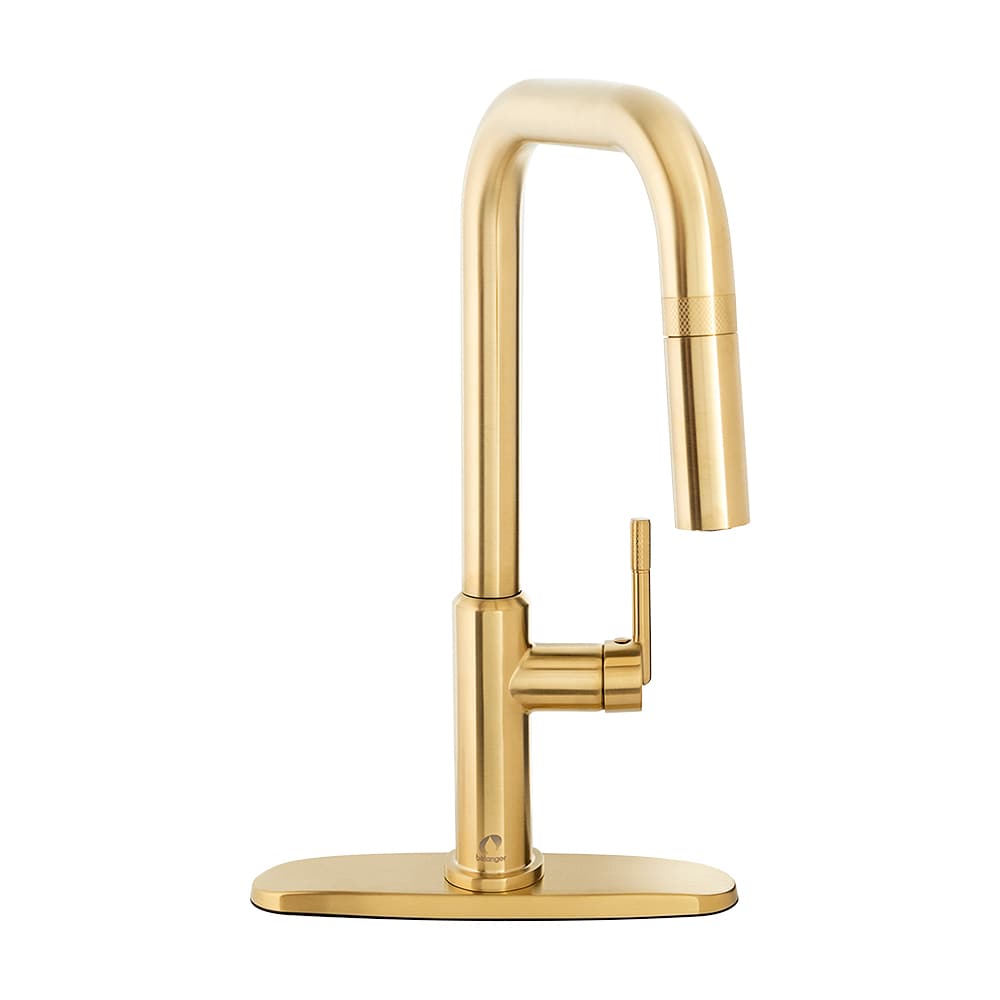 Adore 1-Handle Pull-Out Kitchen Faucet Gold