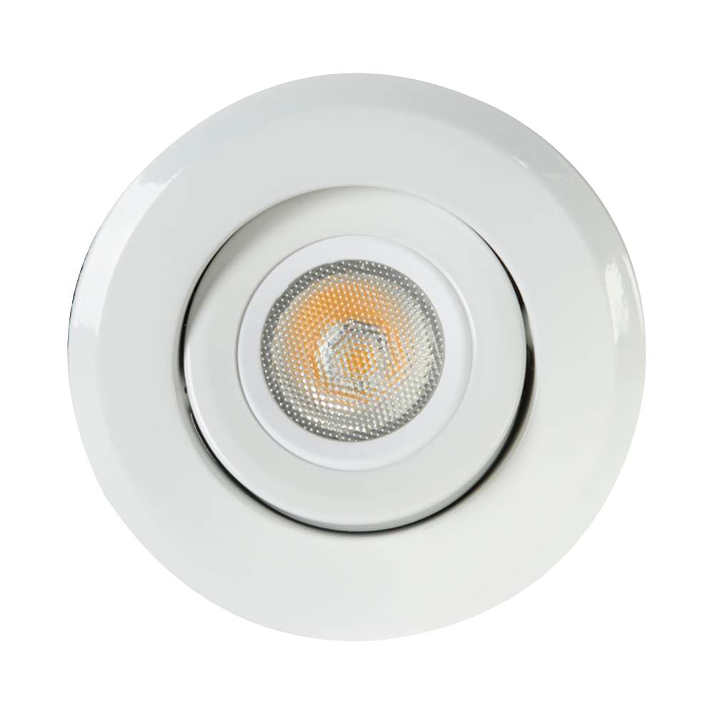 Recessed LED Light 4 in. White