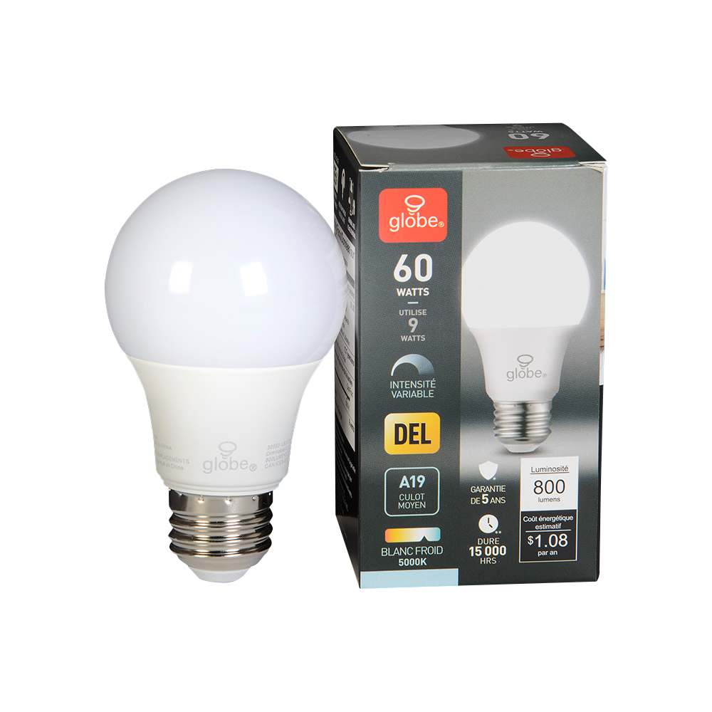 Ampoule DEL A19, blanc froid 9 W