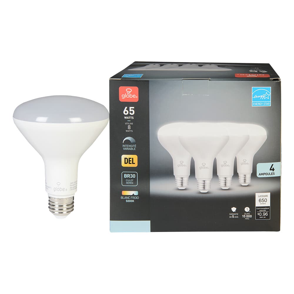 Ampoules-réflecteurs DEL BR30, 8 W Pqt/4