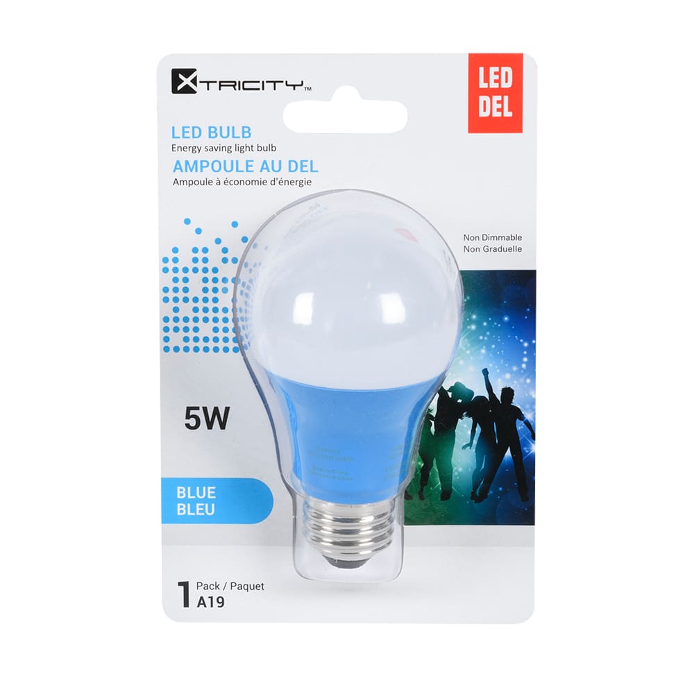 Ampoule DEL A19 Bleu 6 W