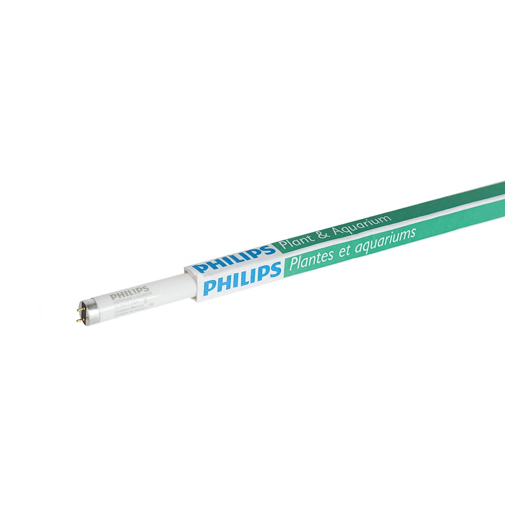 Tube fluorescent T8, 32 W pour serre et aquarium 48 po