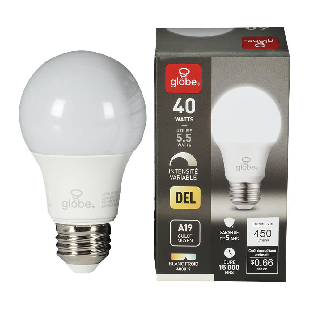 A19 LED Light Bulb Cool White 5.5 W