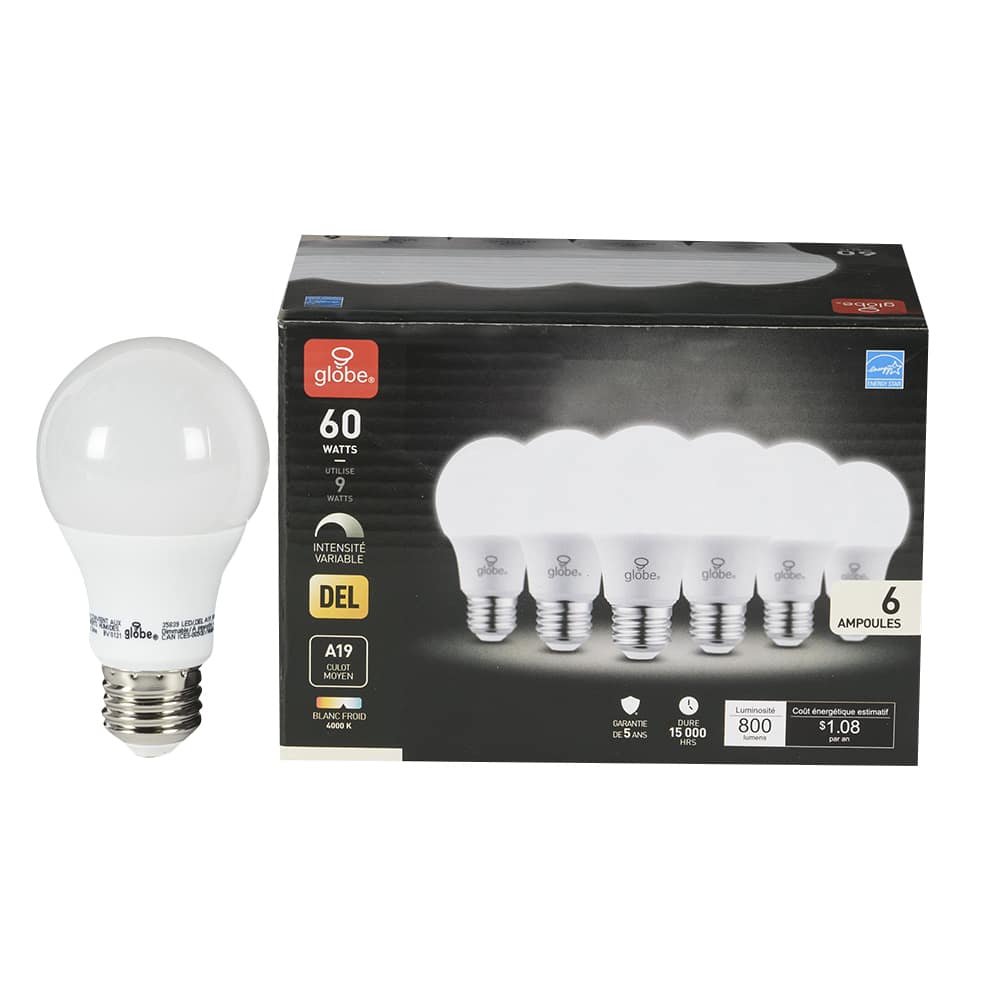 Ampoule DEL A19 blanc froid 9 W Pqt/6