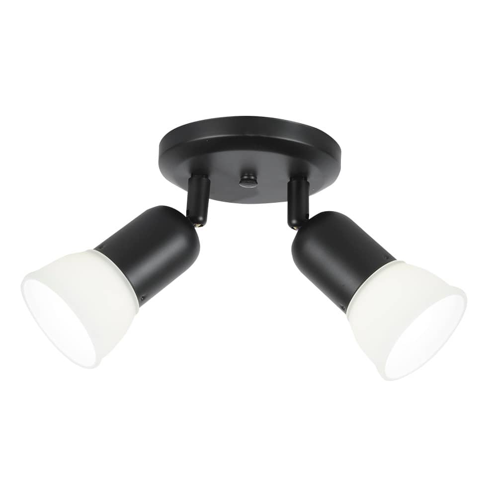 Plafonnier Jasper 2 lumières