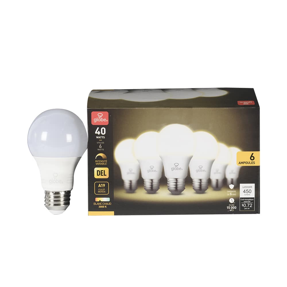 Ampoules DEL A19, 6 W blanc chaud Pqt/6