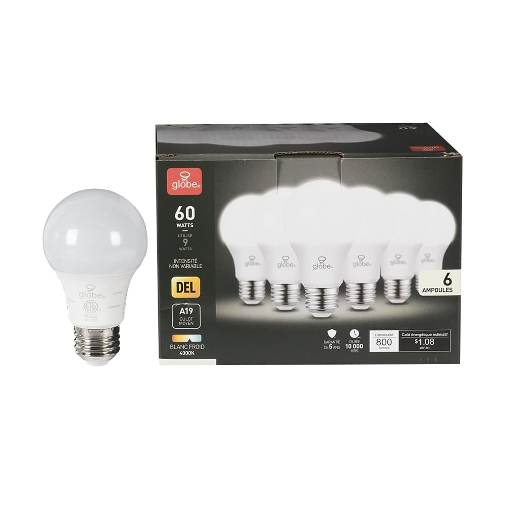 Ampoules DEL A19, 9 W blanc froid Pqt/6