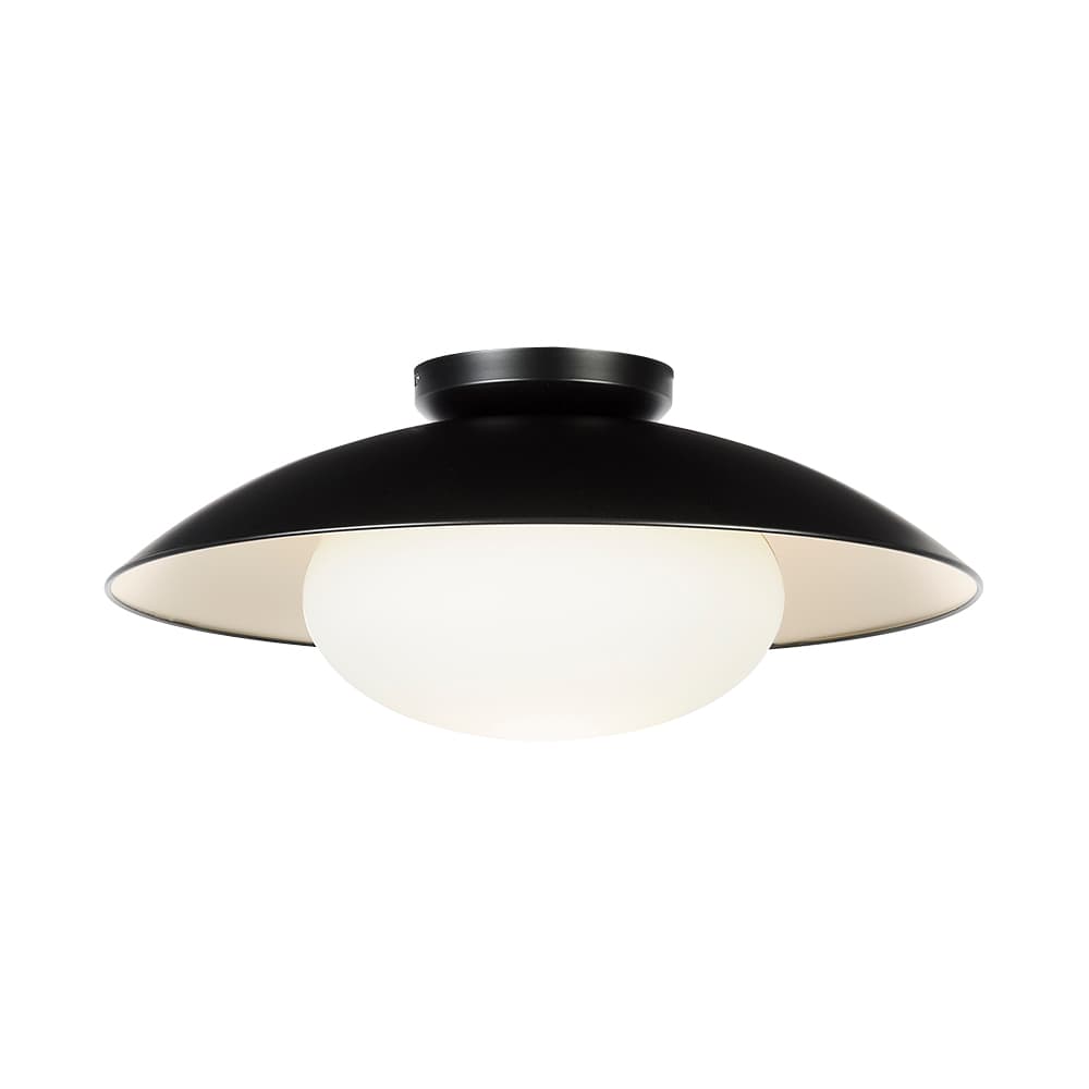 Elio 1-Light Ceiling Mount