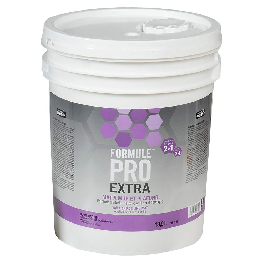 Peinture latex intérieur Formule Pro Extra mat blanc naturel et couleurs 18,9 L