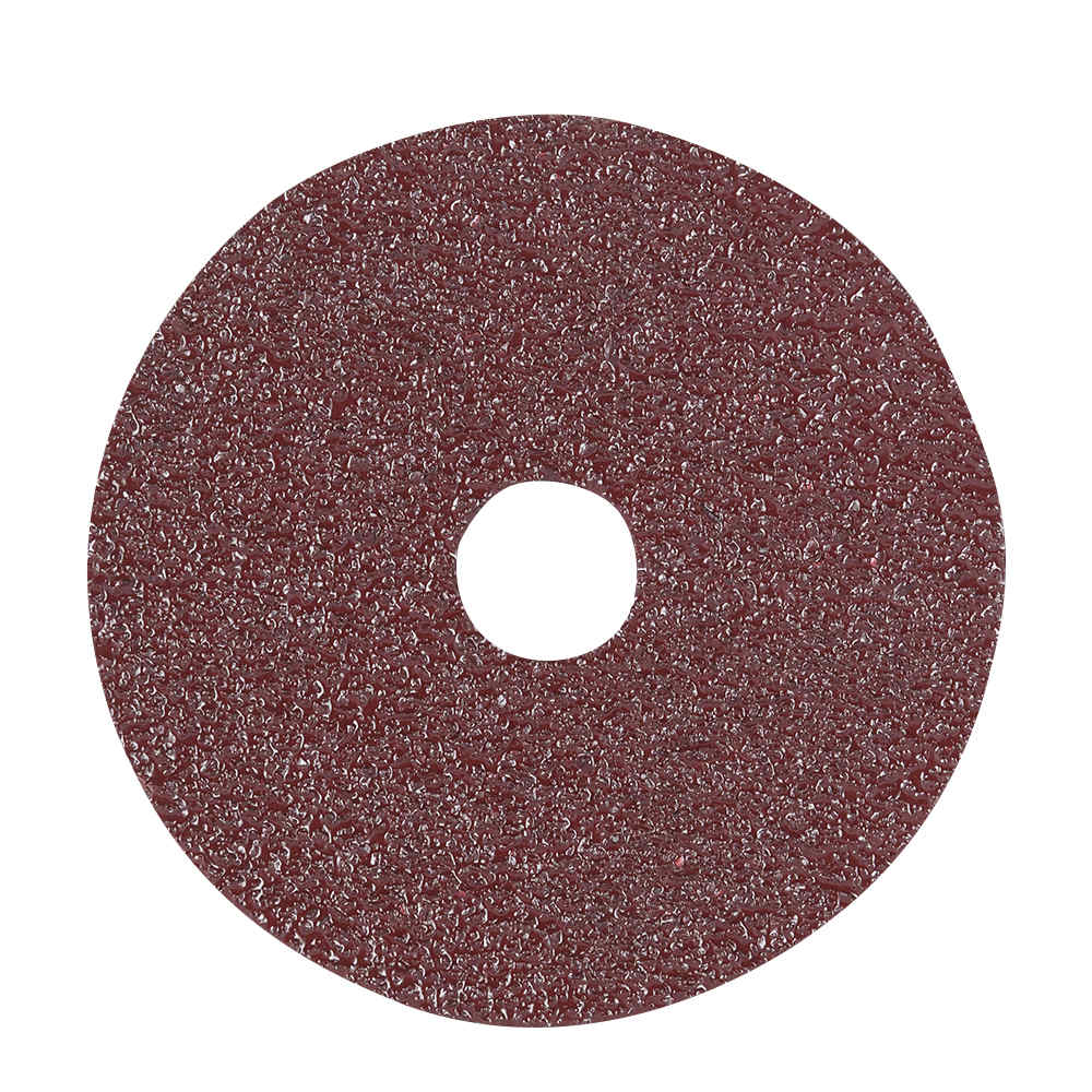 Sanding Disc 5 in. 36 Grit