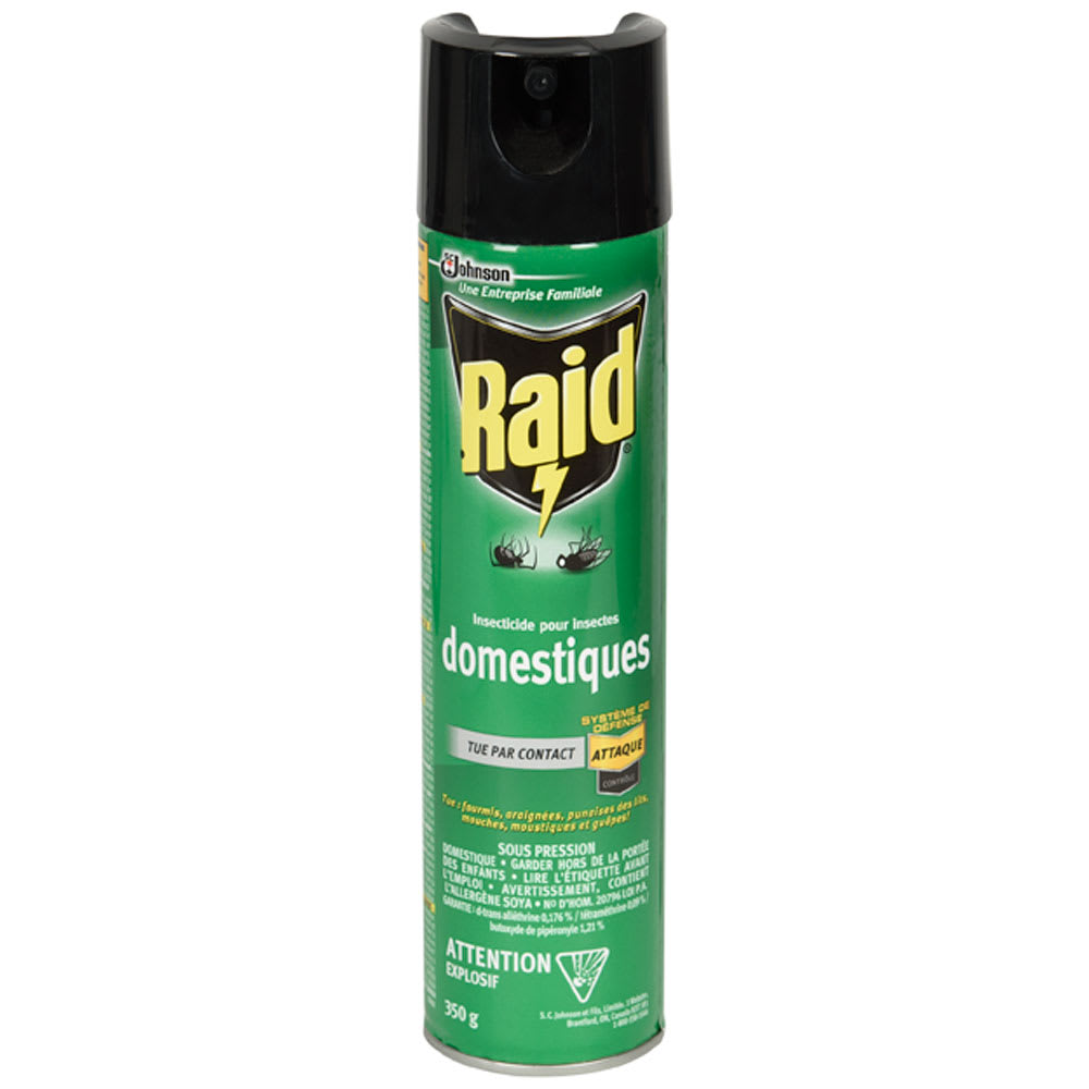 Insecticide pour insectes domestiques Raid 350 g