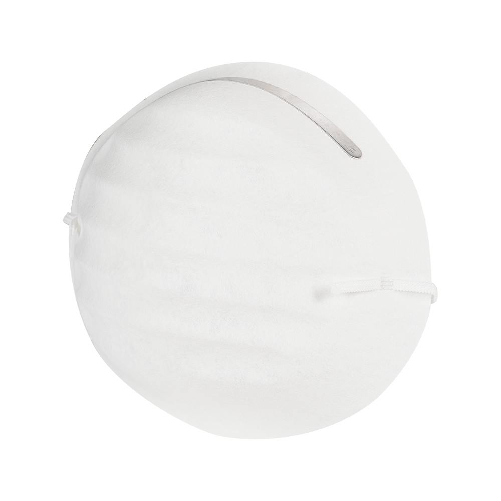 Disposable Dust Masks Pkg/50