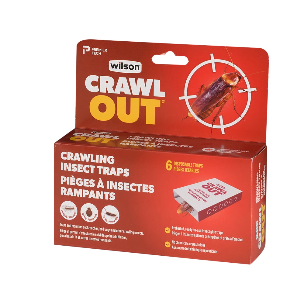 Pièges pour insectes rampants Pqt/6