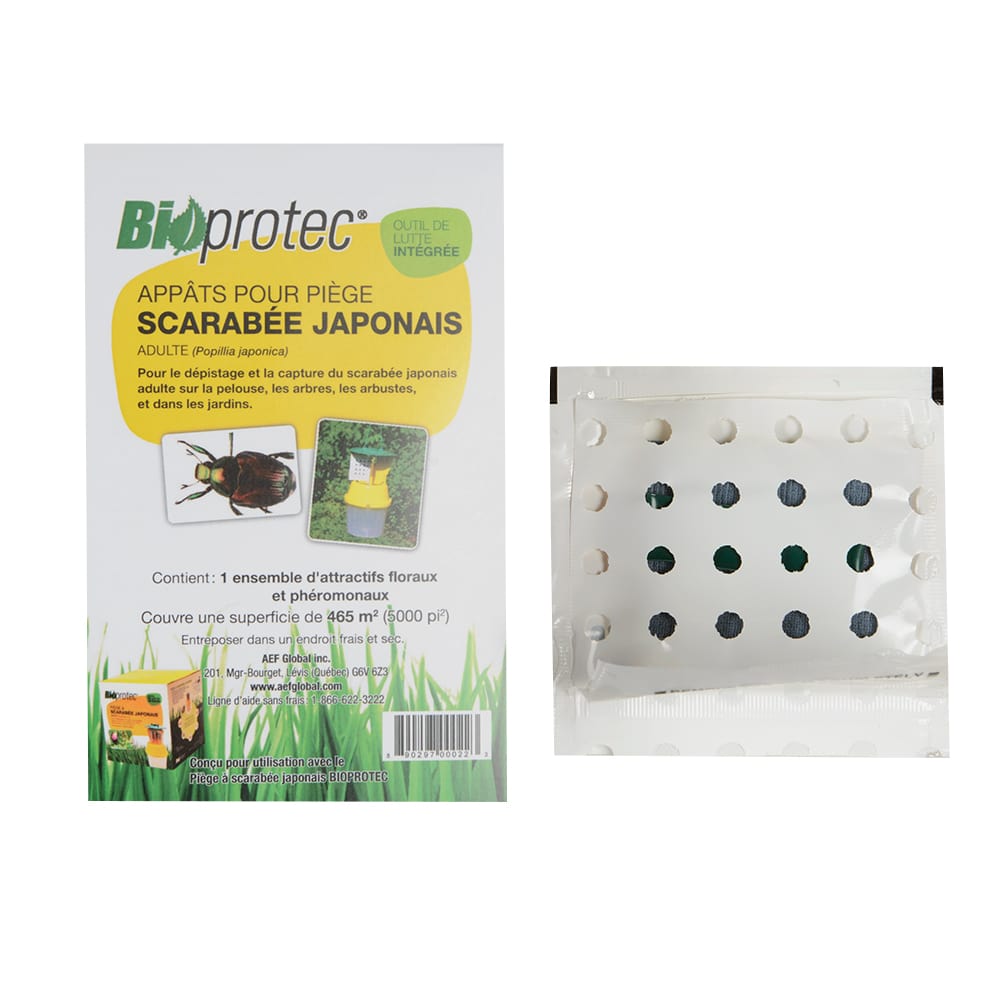 Appât pour piège à scarabées japonais