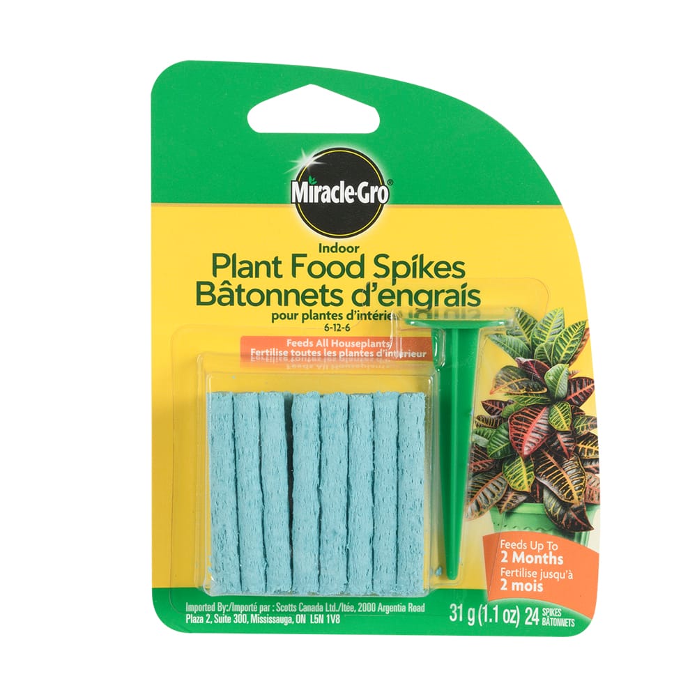 Bâtonnets d'engrais pour plantes d'intérieur 6-12-6