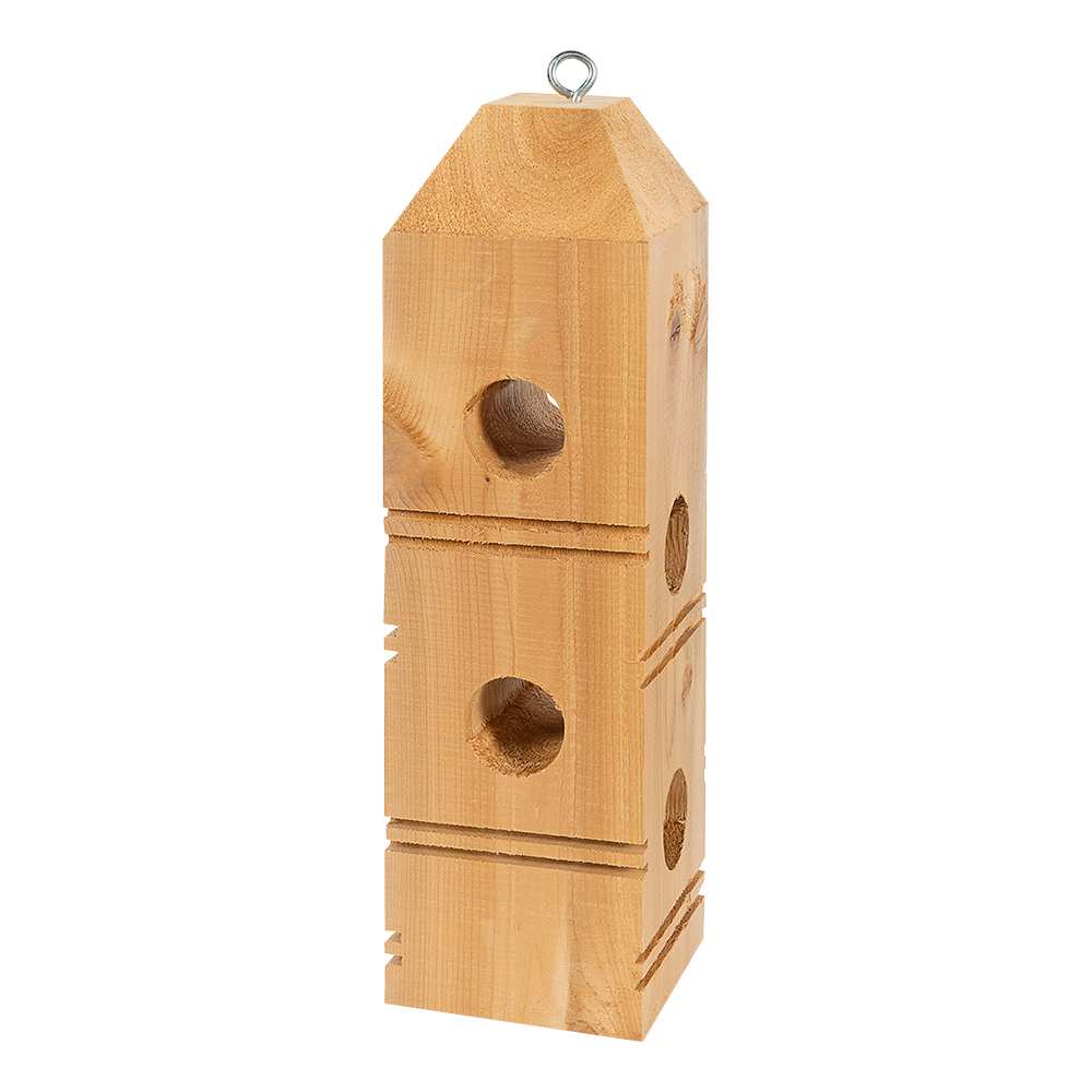 Mangeoire pour oiseaux rondelles de suif 12 po