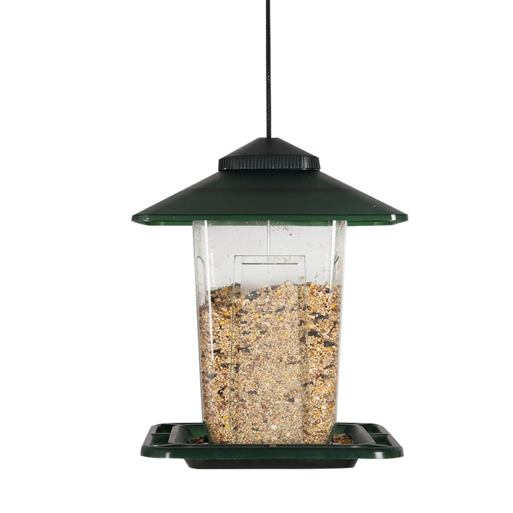 Mangeoire pour oiseaux 12 po