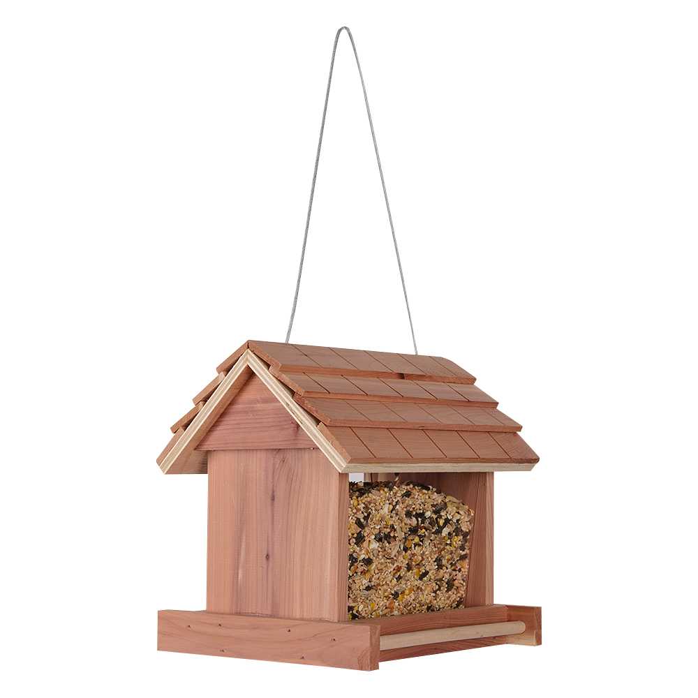 Mangeoire pour oiseaux 8 po