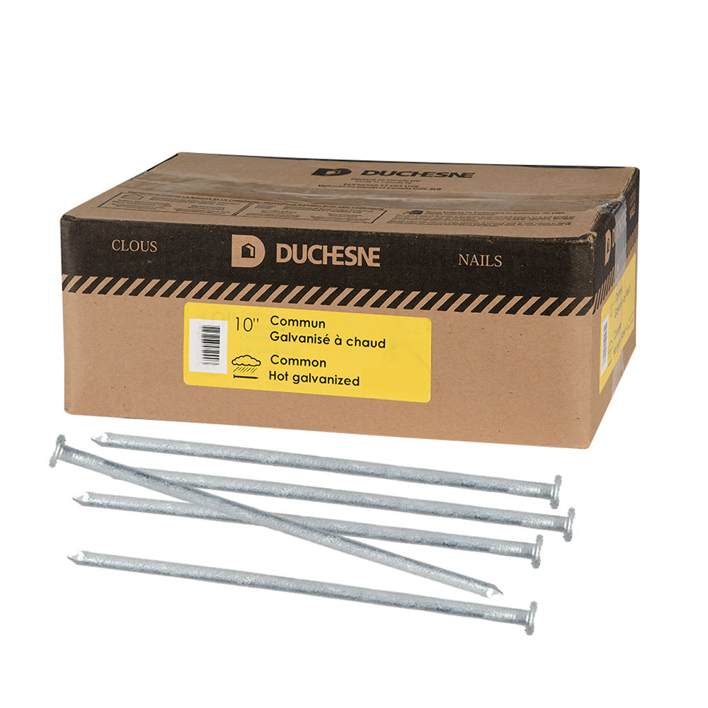 Hot Galvanized Common Nails - 10 in. Format: 50 lb