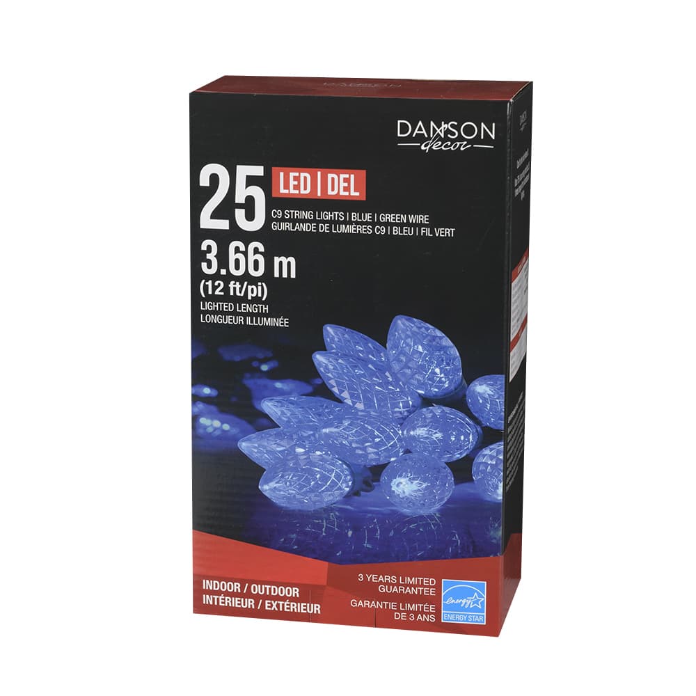 25 C9 LED Lights Set Blue