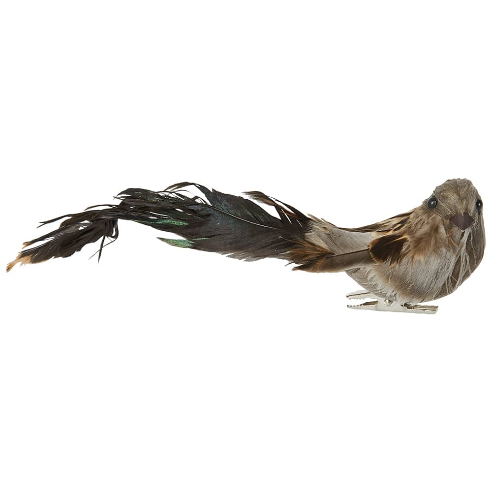 Oiseau brun à pince VERTUO