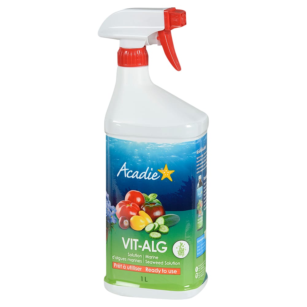 Solution d'algues marines 1 L