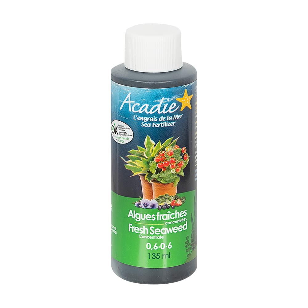 Algues fraîches concentrées 135 ml