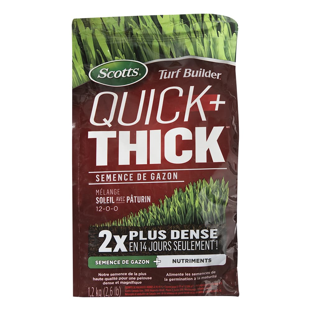 Semences à gazon soleil avec pâturin 1,2 kg