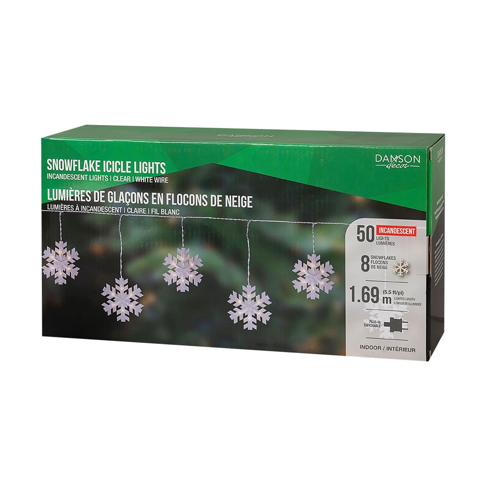 Guirlande de 50 lumières DEL claire