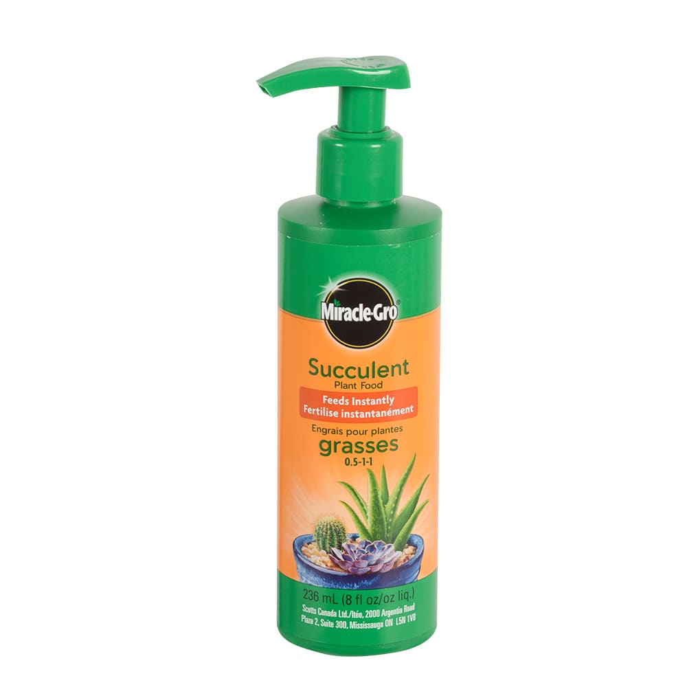 Engrais pour plantes grasses Miracle-Gro