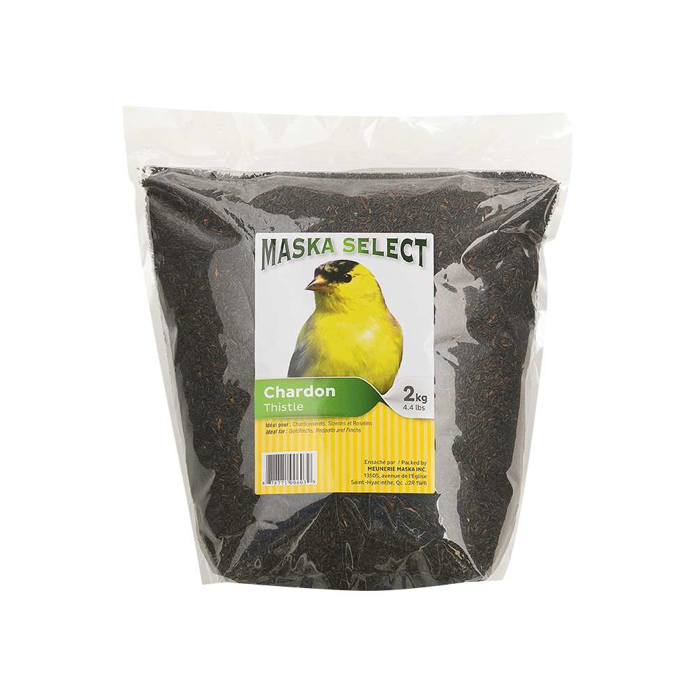 Graines de chardon noir 2 kg