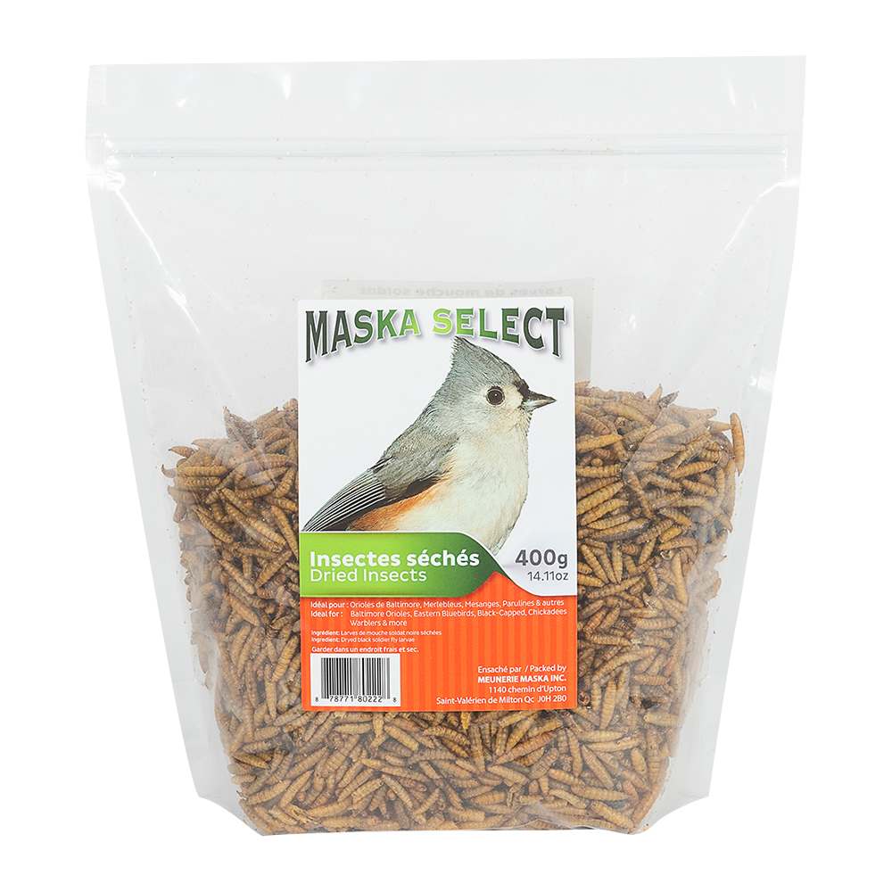 Asticots pour oiseaux sauvages 400 g