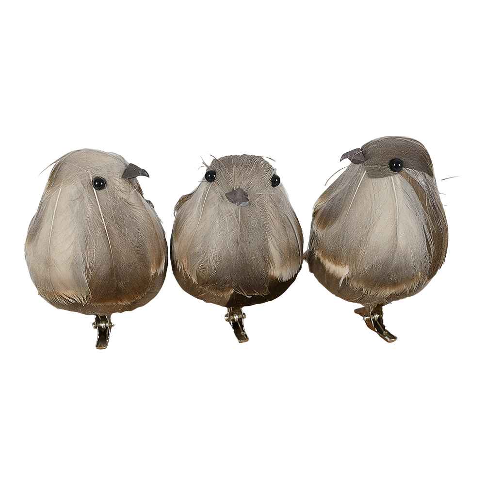 Oiseaux bruns à pince Pqt/3 VERTUO