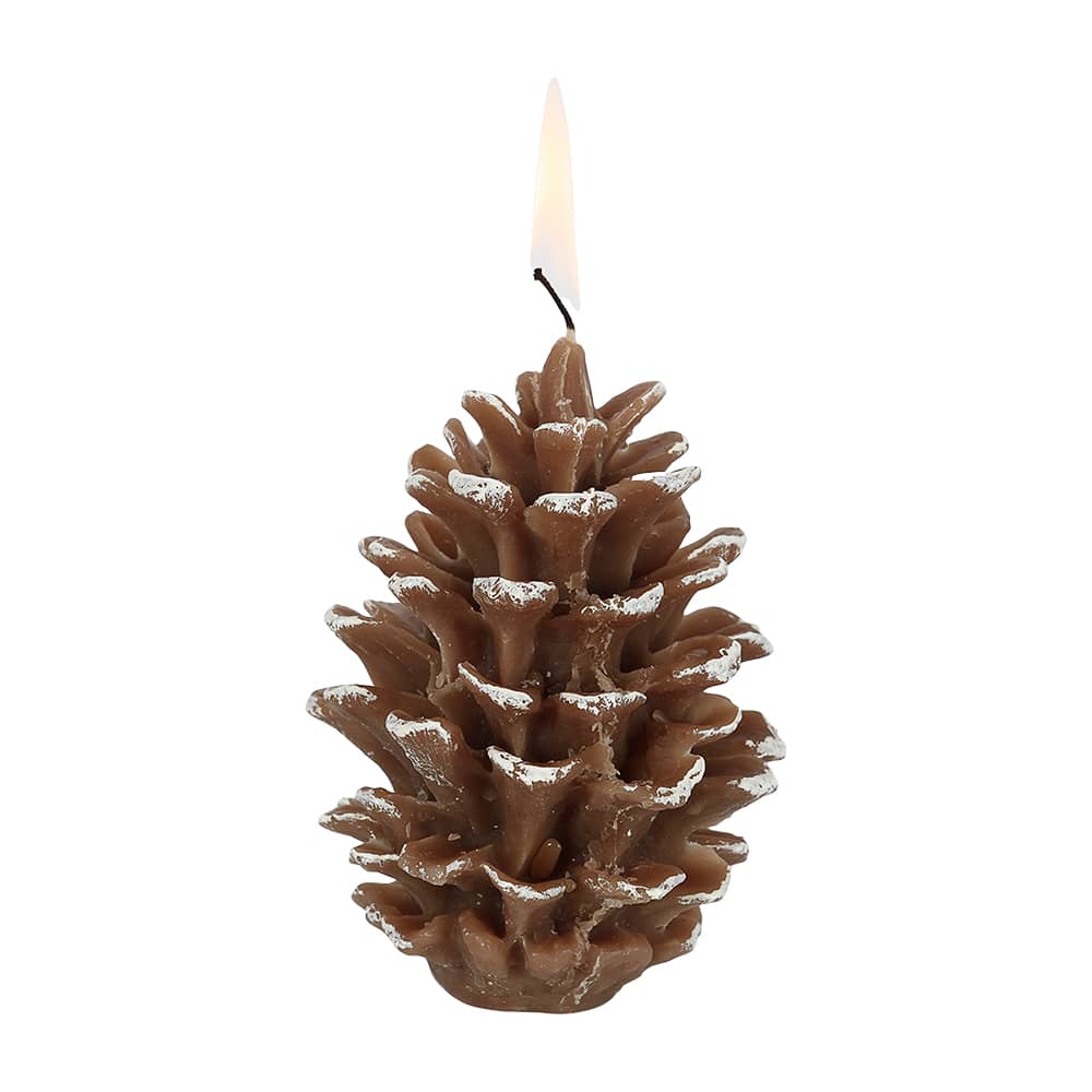 Bougie pomme de pin 295 g