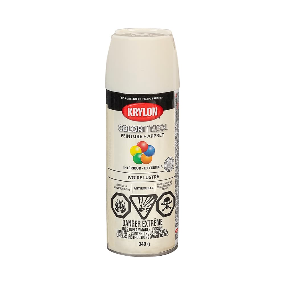 Colormaxx Paint & Primer Gloss Ivory 340 g