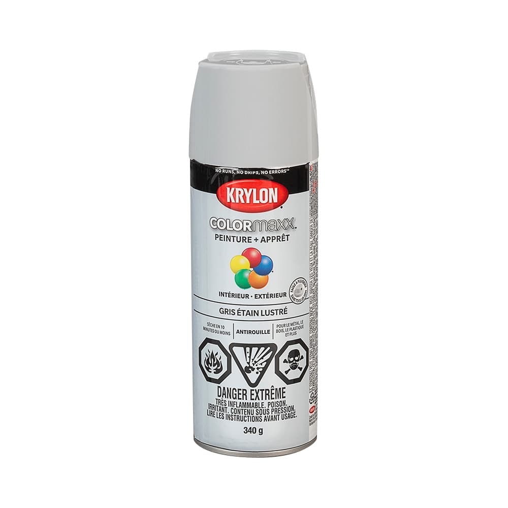 Colormaxx Paint & Primer Gloss Pewter Grey 340 g