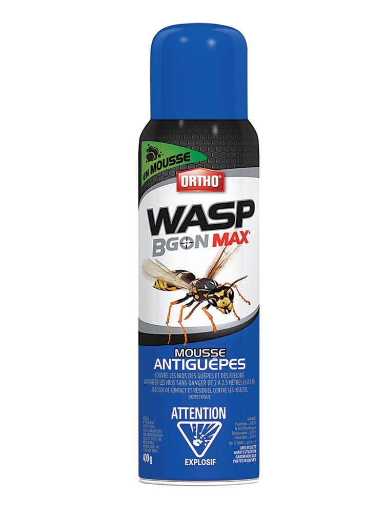 Wasp and Hornet Killer 400 g