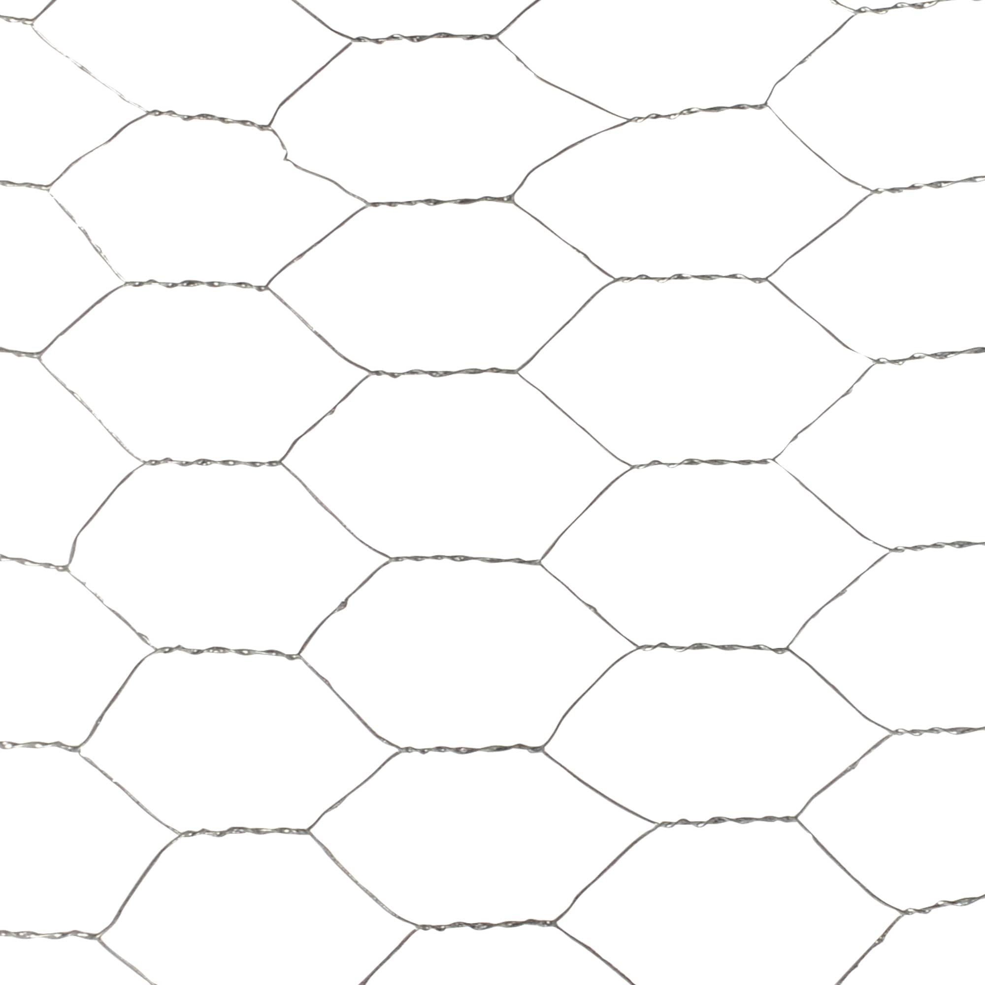 Grillage hexagonal galvanisé 3 pi x 50 pi