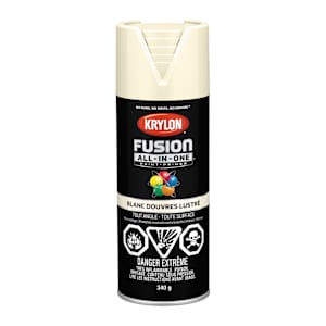 Fusion All-In-One Paint & Primer Gloss Dover White 340 g