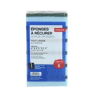 Scrub Sponges Pkg/6