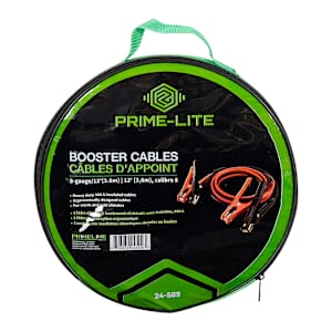 Câbles de survoltage 12 pi