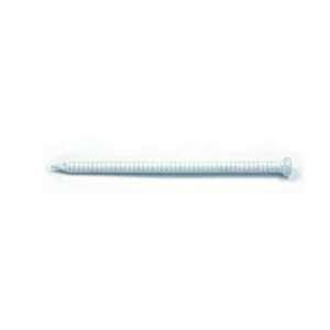 White Panel Board Nails - 1 in.Format: 160 g
