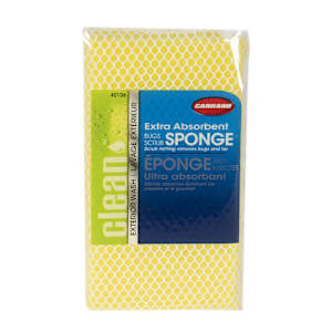 Bug Sponge