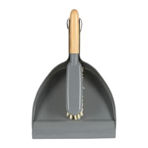 Brosse et porte-poussière