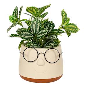 VERTUO intello Pot